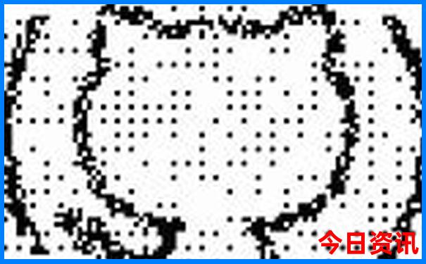国内哪些地方夏天凉爽